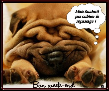 Bon week end